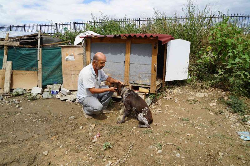 Selde canını hiçe saydı, hayvanlarını boğulmaktan böyle kurtardı
