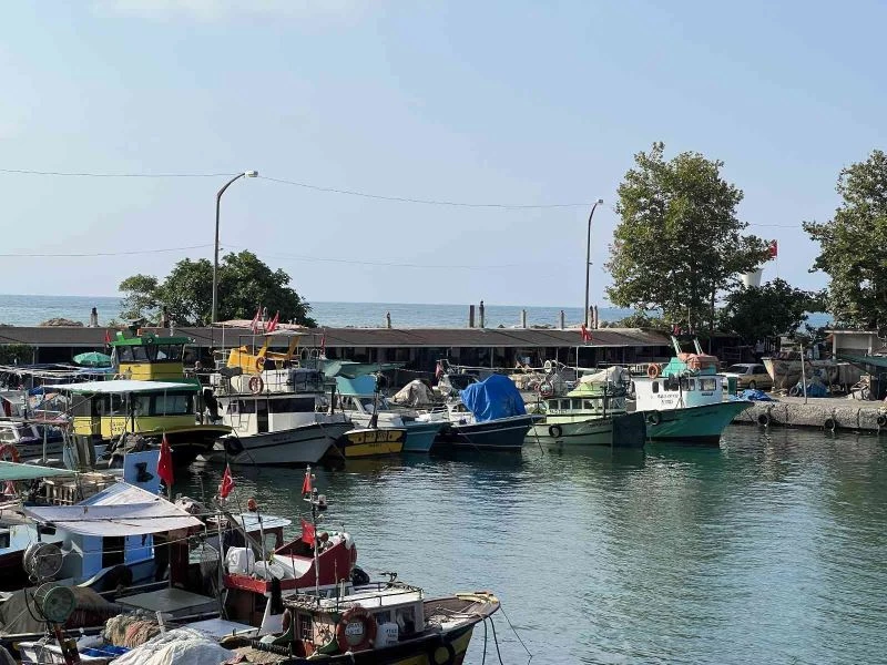 Deniz suyu sıcaklığı avcılığı olumsuz etkiledi
