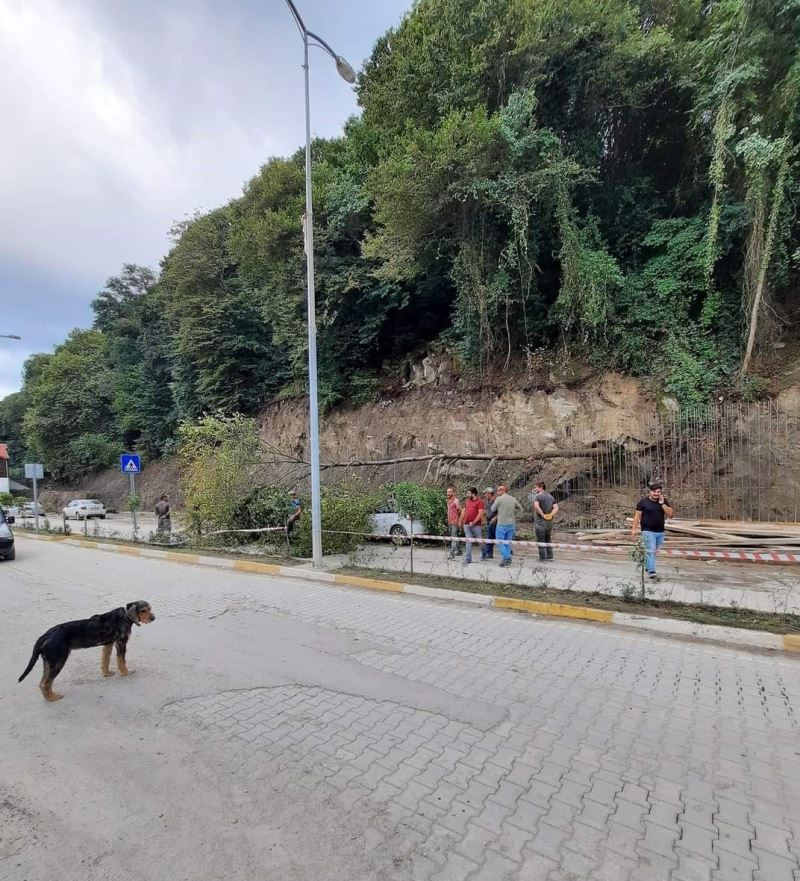 Heyelanda devrilen ağaç park halindeki aracın üzerine düştü
