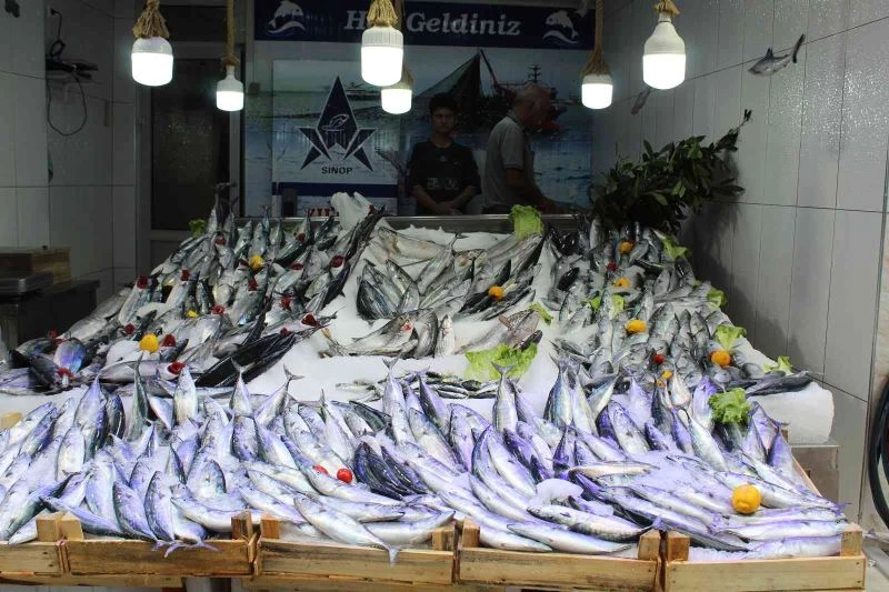 Karadeniz’de palamut avcılığı hareketlendi
