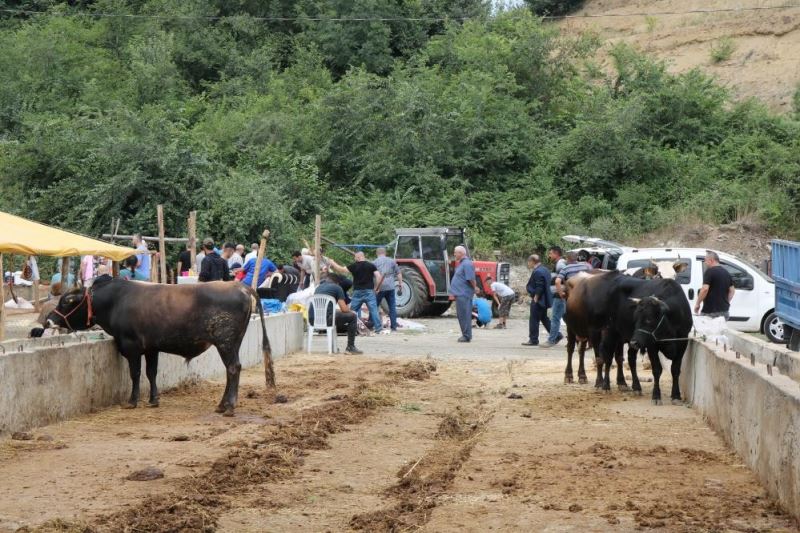 Hayvancılıkta ’Sözleşmeli Besicilik’ dönemi
