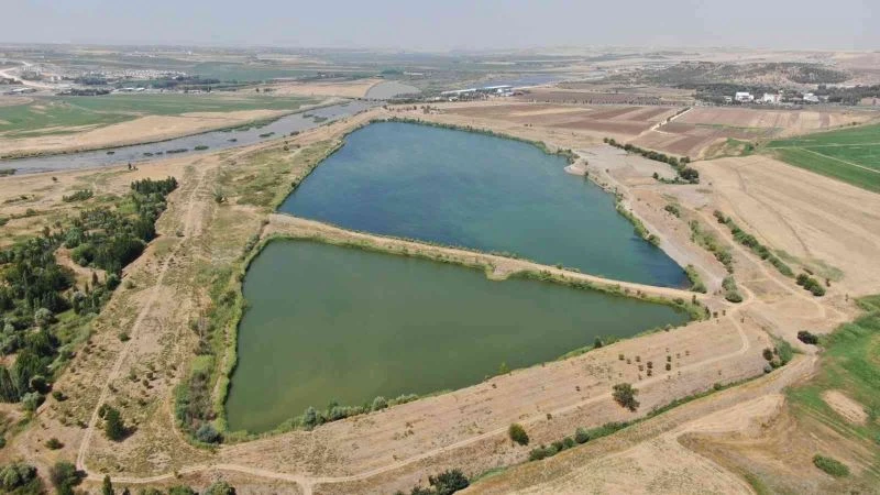 Fosil yakıt kullanımı, küresel ısınma ve su krizini beraberinde getirdi
