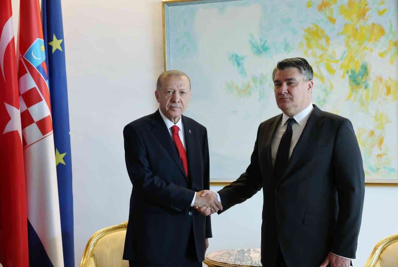 Erdoğan, Hırvatistanlı mevkidaşı Milanoviç ile görüştü
