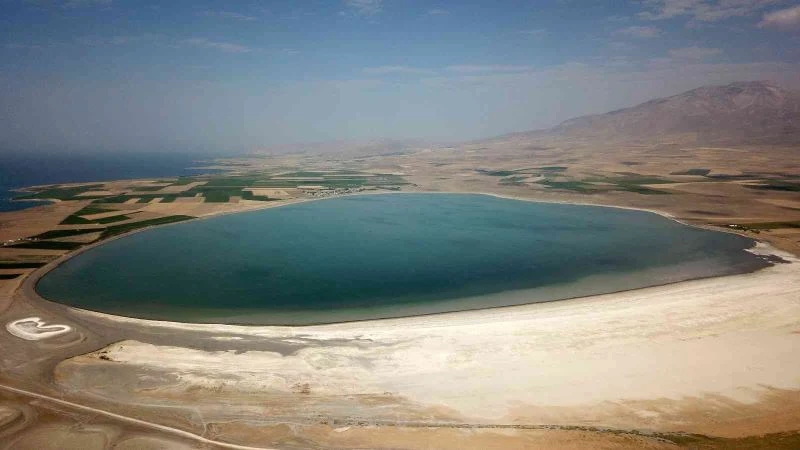 Kuş cenneti Arin Gölü’nde tehlike çanları
