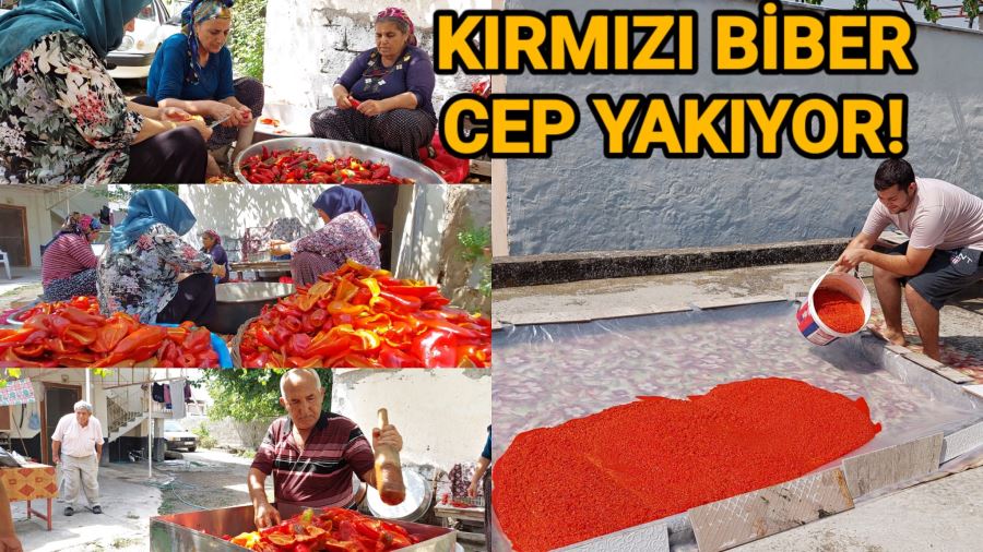 Kırmızı biber cep yakıyor: Salça yapanlar azaldı