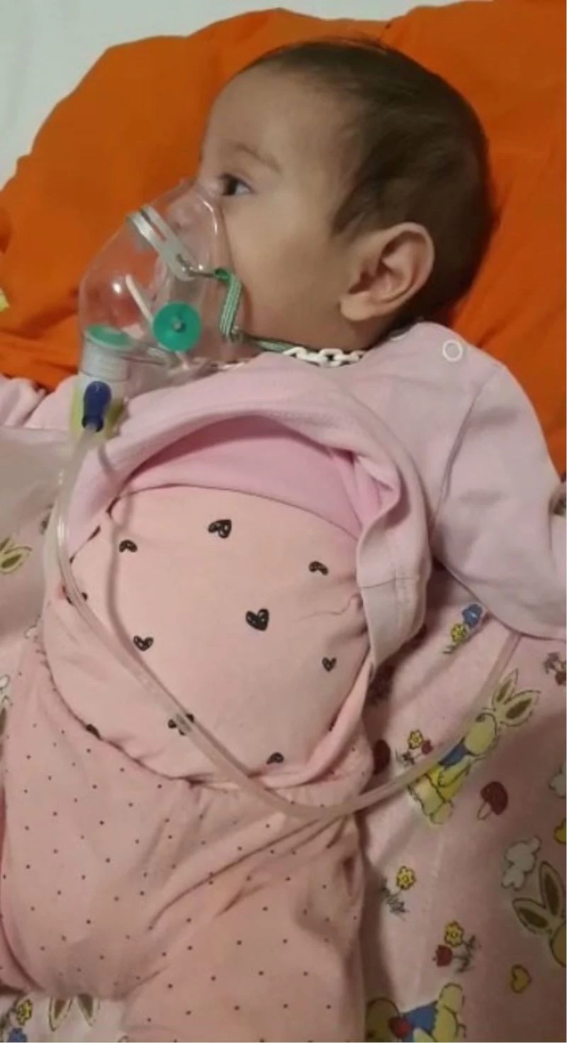 Hastanede yatan 5 aylık ikizler taburcu oldu
