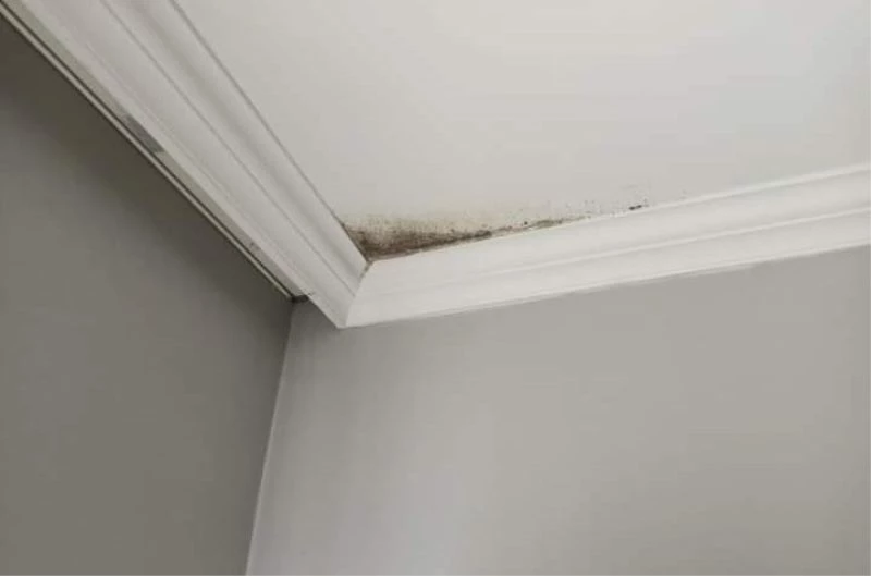 500 TL’lik site aidatı bin 415 TL’ye çıktı, site sakinleri fahiş zamma isyan etti
