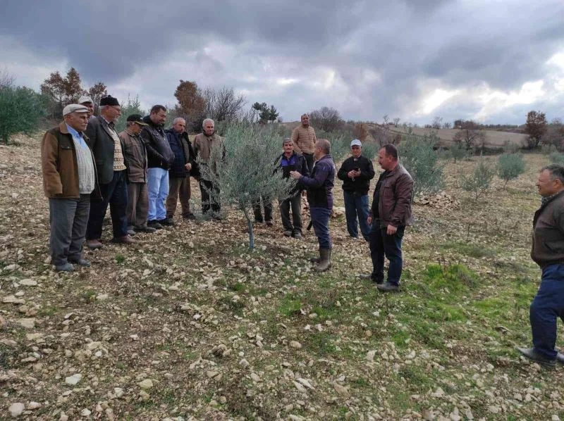 Kurum müdürü vatandaşlara ağaç budamasını öğretiyor
