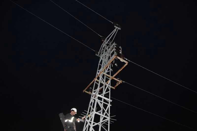 Yüksek gerilim hattına kapılan şahin 9 köyün elektriğini kesti
