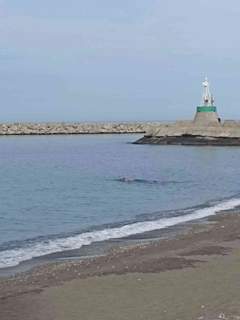 Hava sıcaklığı 20 dereceye yükseldi, vatandaşlar denize girdi

