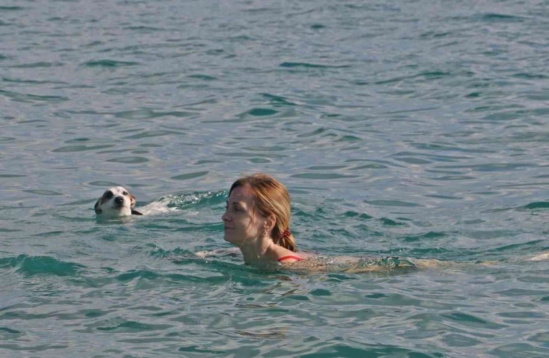 Türkiye soğuk hava dalgasına hazırlanırken, Antalya’dan kıskandıran görüntüler
