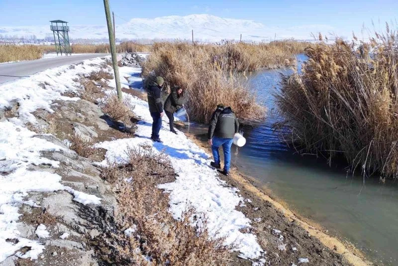 Erçek Gölü çevresine yaban hayvanlar için yem bırakıldı
