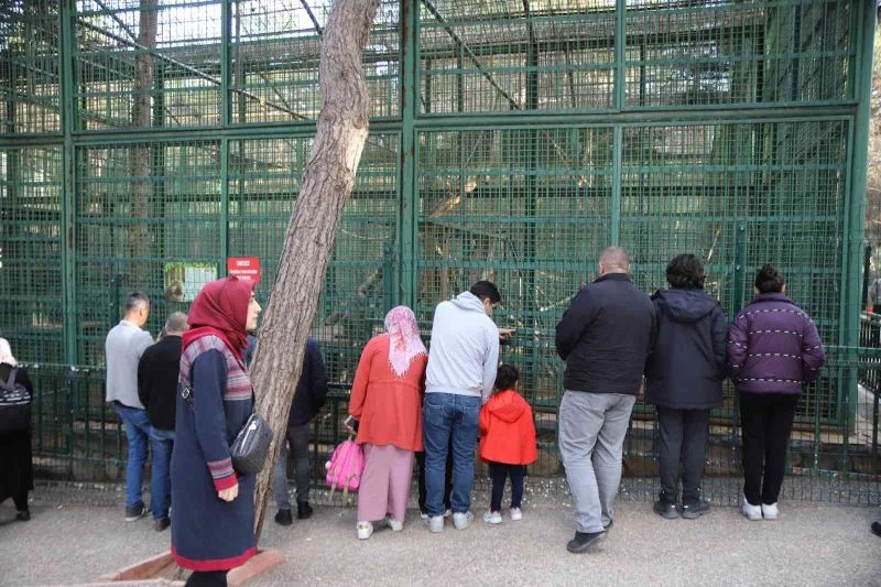 Karneyi alan hayvanat bahçesine koştu
