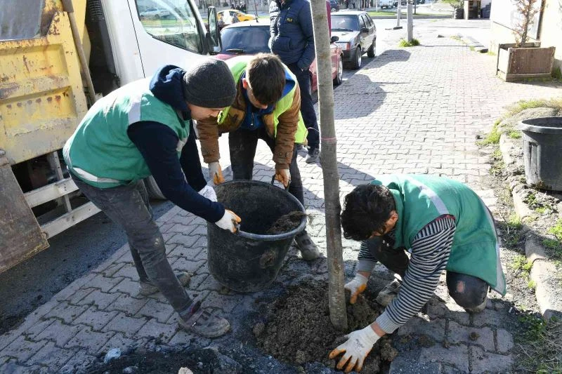 Esenyurt’ta sorunlar yeşillendirmeyle çözülüyor
