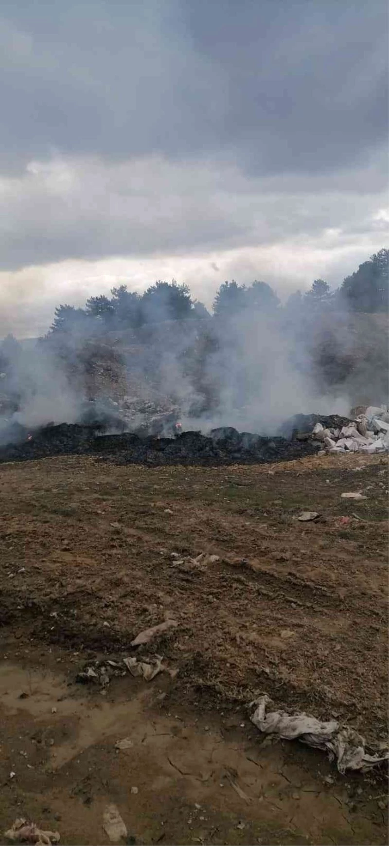 Ormanda yanan çöpler ekipleri harekete geçirdi
