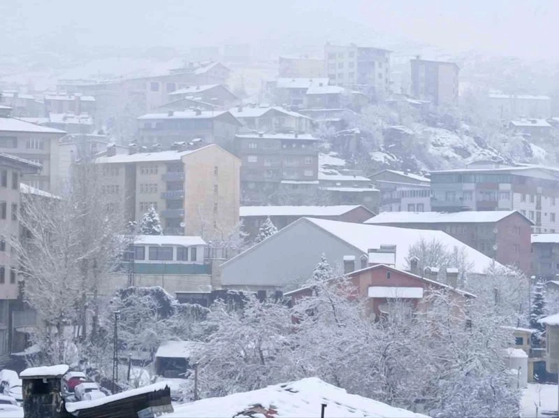 Hakkari’de 176 yerleşim yeri ulaşıma kapandı
