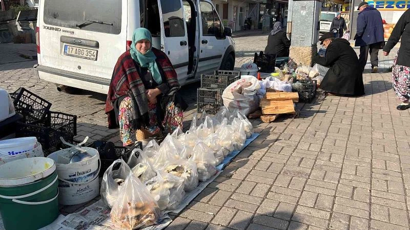 Yaban mantarları köylünün gelir kapısı oldu
