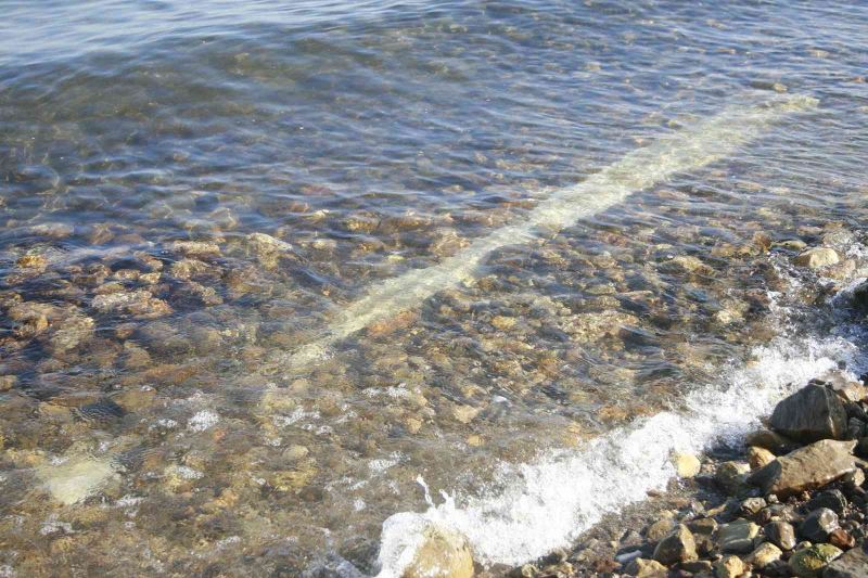 Gölyaka’da tarihi sütun bulundu, müze müdürlüğü inceleme başlattı
