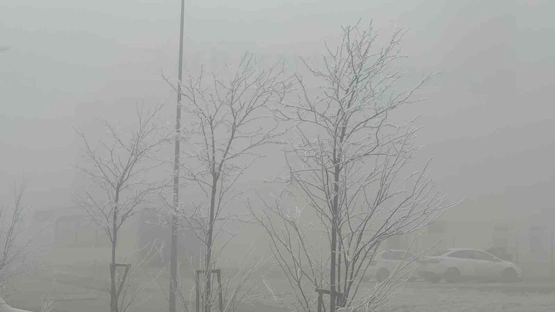 Yoğun sis Aksaray’ı etkisi altına aldı
