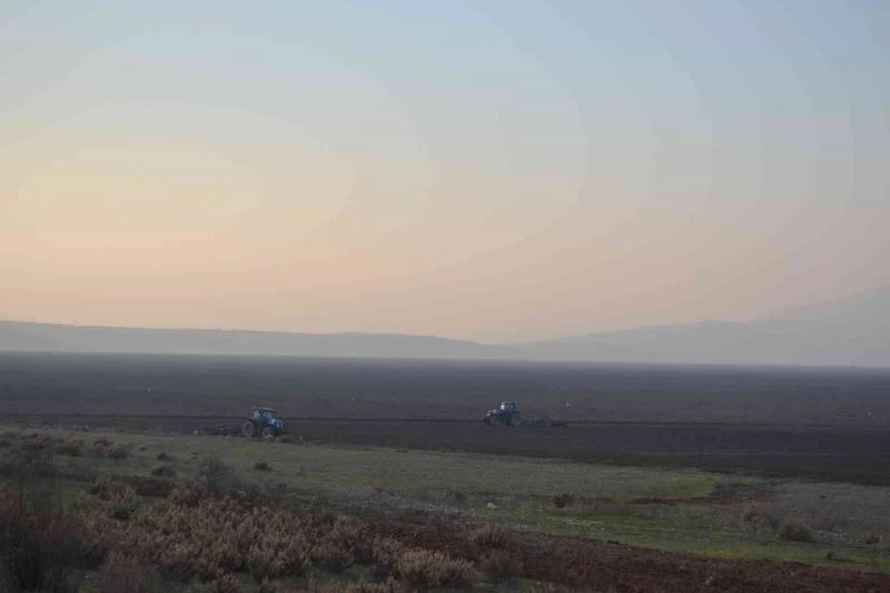 TİGEM, Marmara Gölü’nde buğday ve ayçiçeği yetiştirecek
