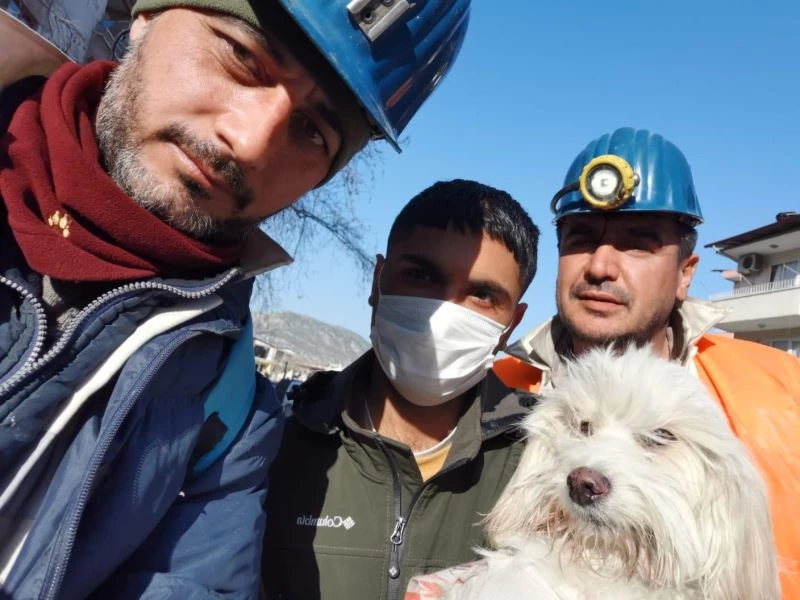 Zonguldaklı madenciler 203’üncü saatte Ponti’yi kurtardı
