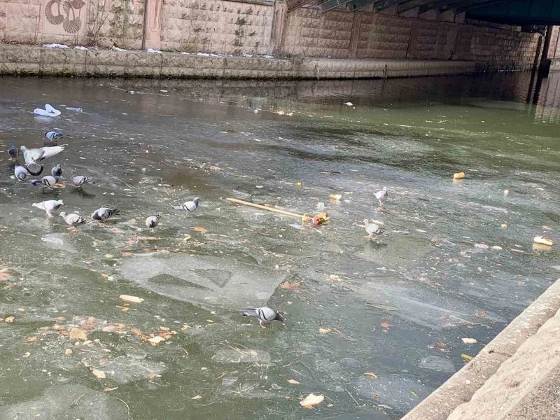 Yer yer donan porsuk çayı çöplüğe döndü
