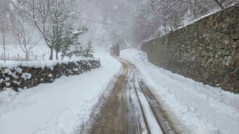 Doğu Karadeniz’de kar yağışı nedeniyle 195 köy ve mahalle yolu ulaşıma kapandı
