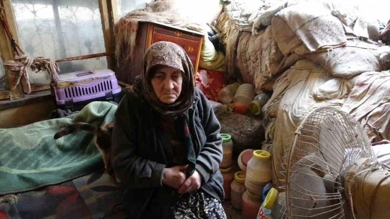 Depremzede Fatma teyze, kapkaça uğradığını gözyaşları içinde anlattı
