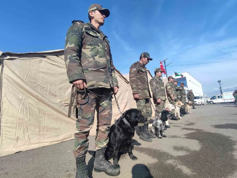Azerbaycan’ın ’hassas burunlu’ arama kurtarma köpekleri deprem bölgesinde
