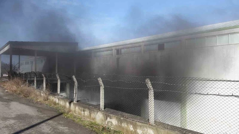 Trabzon’un Arsin ilçesinde bir depoda çıkan yangın ve yoğun duman paniğe neden oldu
