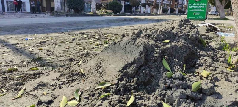 Deniz kumu sanıldı, kılcal damarlardan yüzeye çıkan sitrik kil olduğu anlaşıldı
