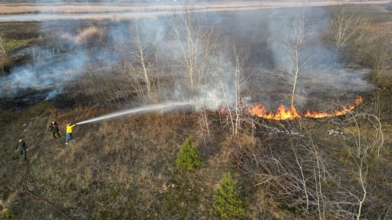 Ağaçlık alanda yangın çıktı, 100 dönümlük arazi kül oldu
