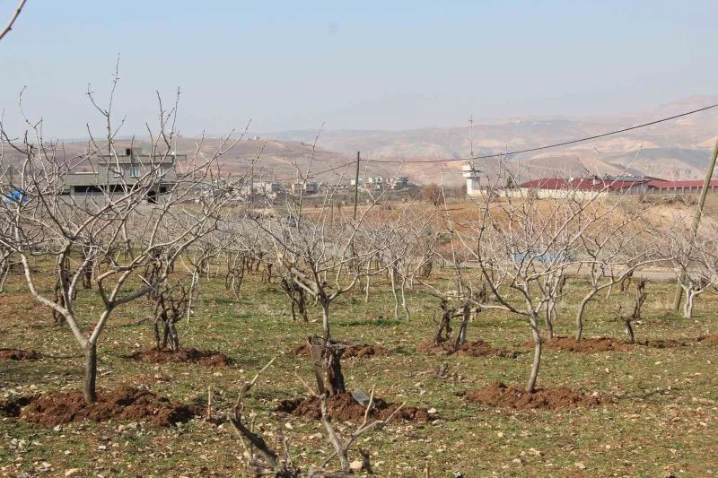 Kuraklık tedirgin ediyor: Umutlar mart ve nisan yağmurlarına kaldı
