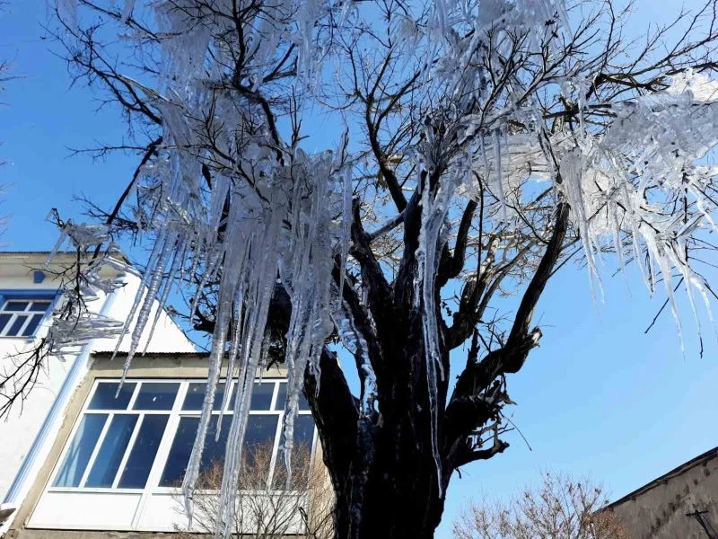 Özalp ilçesinde ağaçlar buz tuttu
