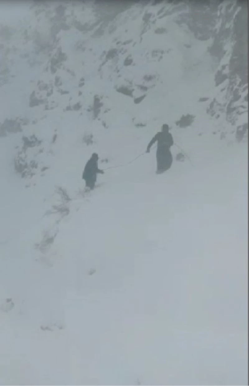 VEDAŞ ekibi çığ ve kurt sürüsü tehlikesi atlattı
