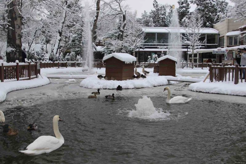 Kuğulu Park’ta kar coşkusu
