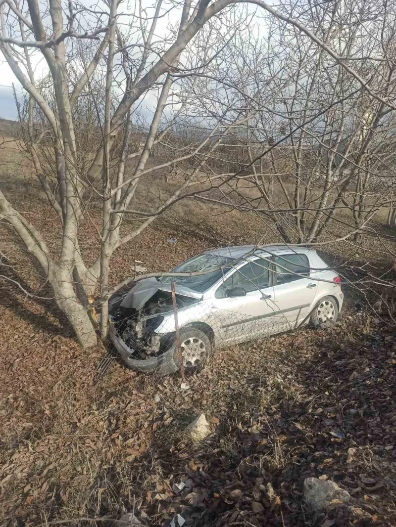 Otomobil ceviz ağacına çarptı: 2 yaralı
