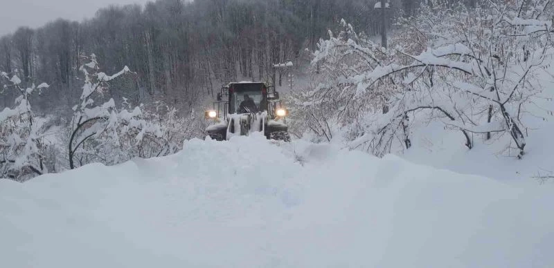 Düzce’de kar köy yollarını kapattı
