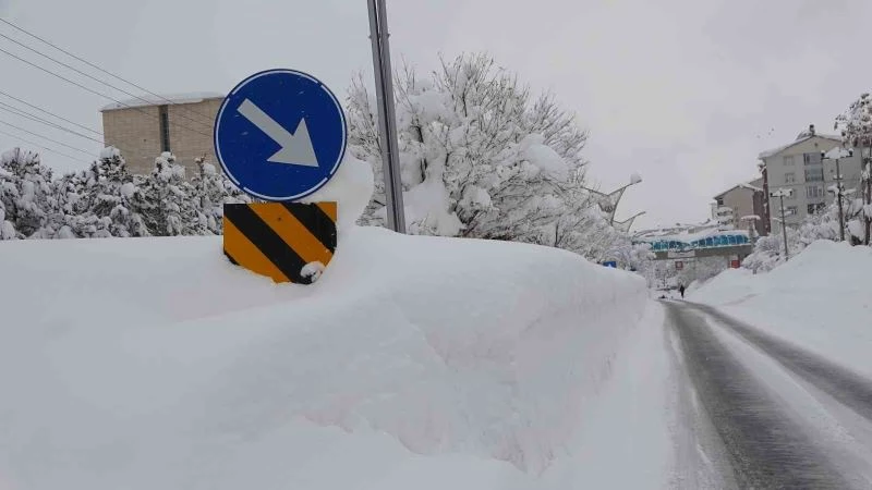 Bitlis’te 251 köy yolu ulaşıma kapandı

