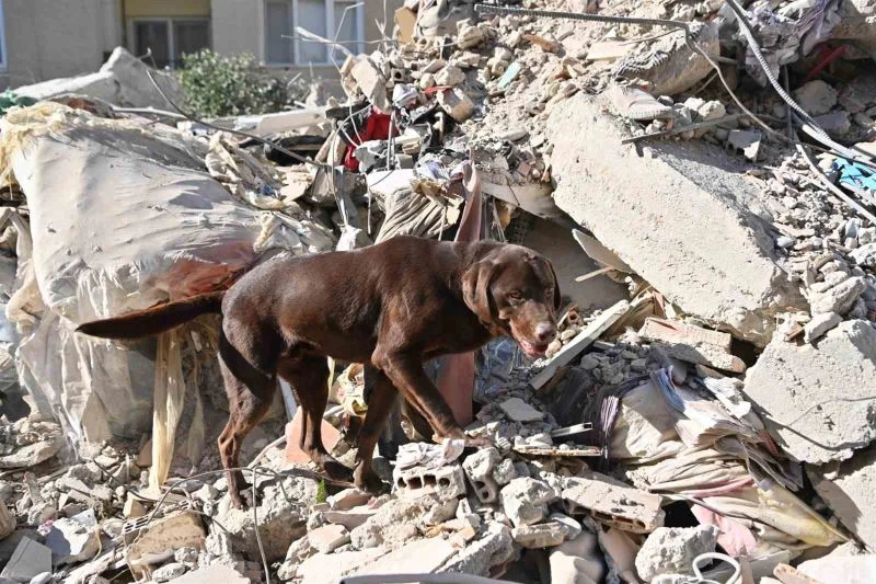 ‘Ateş’ yürek ısıtmak için çalışıyor
