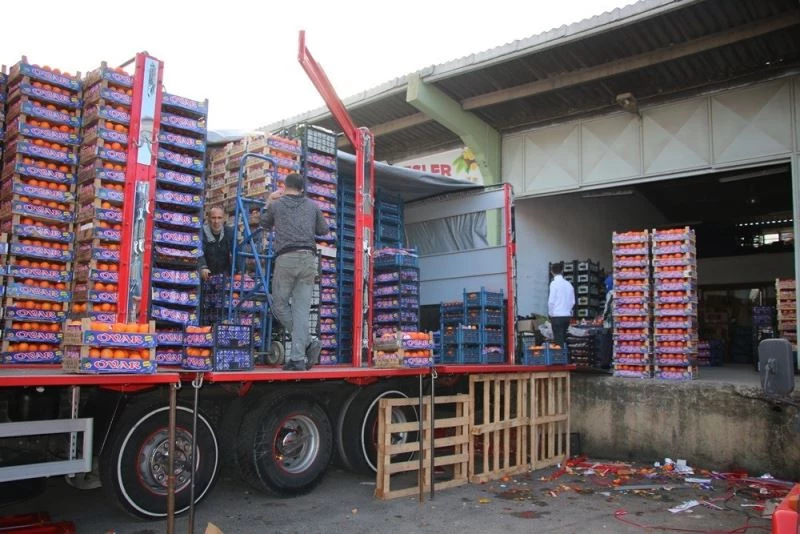 Yalova’daki meyve sebze halinden 2 ayda 5 bin 177 ton ürün çıkışı
