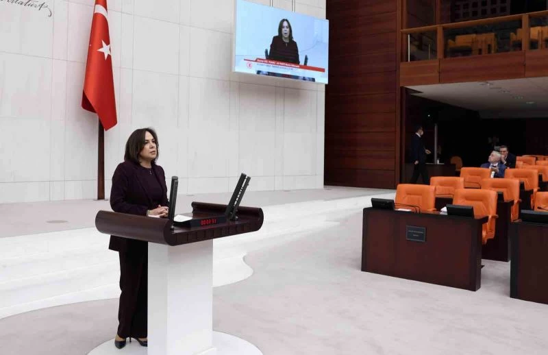 AK Parti Mersin Milletvekili Yılmaz: 