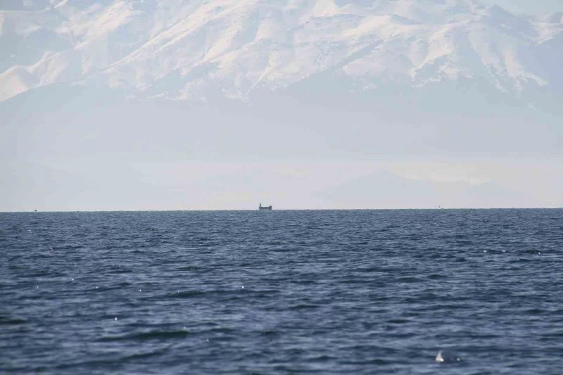 Dağlarda beyaz bereket
