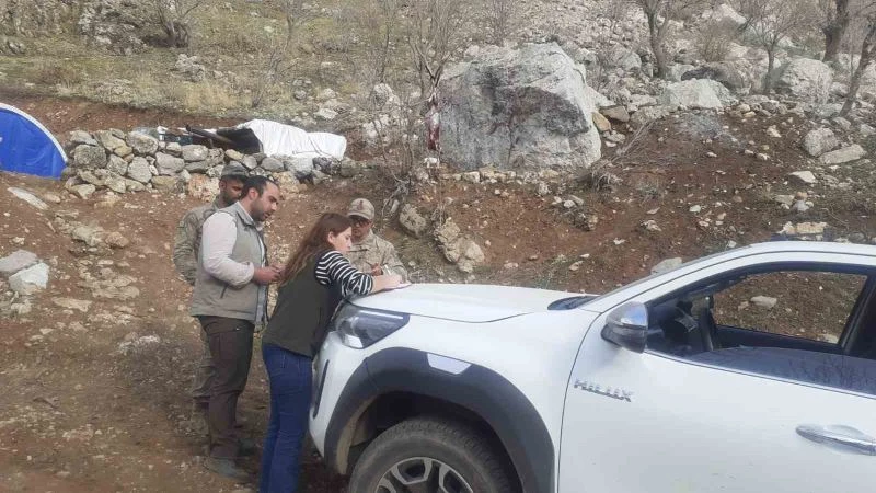Şırnak’ta yaban keçisi avlayan şahsa 260 bin 900 TL ceza

