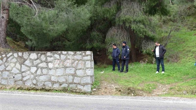 Evsiz adam ormanlık alanda ölü bulundu
