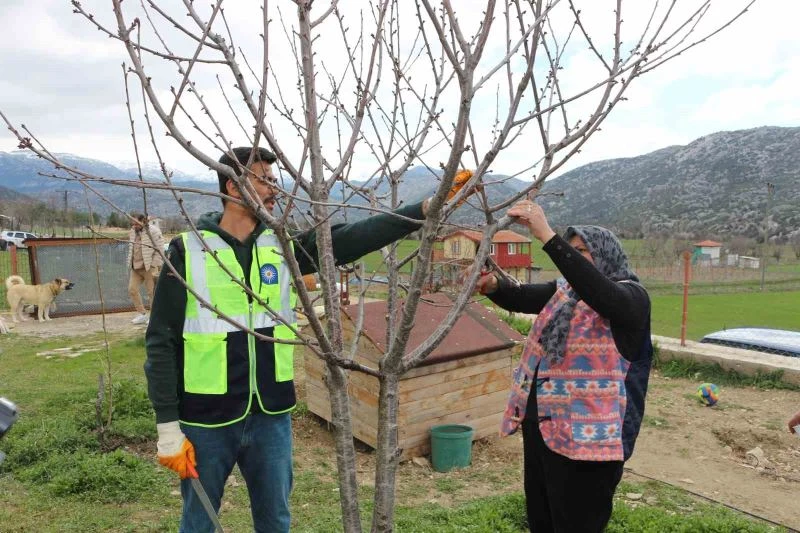 Akseki ve Demre’de budama ve aşılama eğitimi verildi
