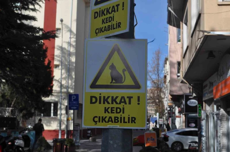 Hız yapan duyarsız sürücüler için “Dikkat Kedi Çıkabilir” yazılı önlem
