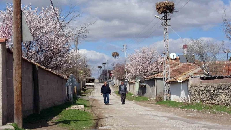 Göçmen köy, göçmen kuşları 60 yıldır misafir ediyor
