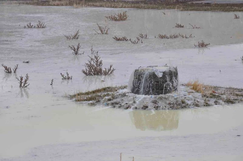 Kars’ta peynir altı sularının oluşturduğu gölet etrafa pis koku yayıyor
