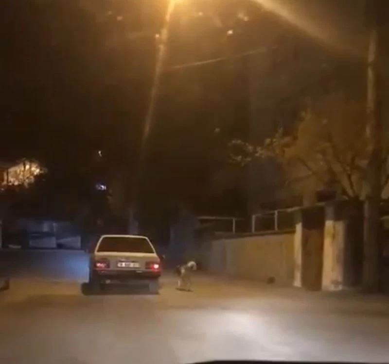 Köpeği otomobilin kapısına bağlayıp koşturdu

